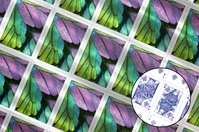 Product image 47